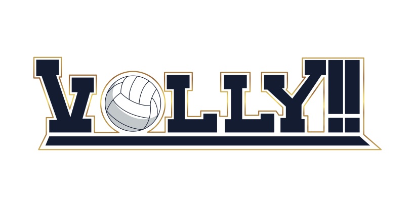 Volley_Logo